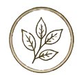 Shamanic Energy Work Icon
